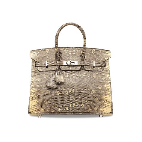 ombre lizard Birkin